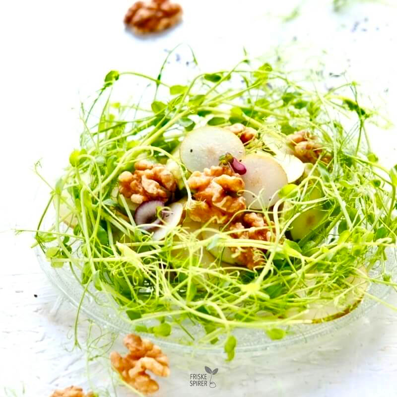 Ærteskud-salat-med-kiwi-og-avocado-FRISKE-SPIRER