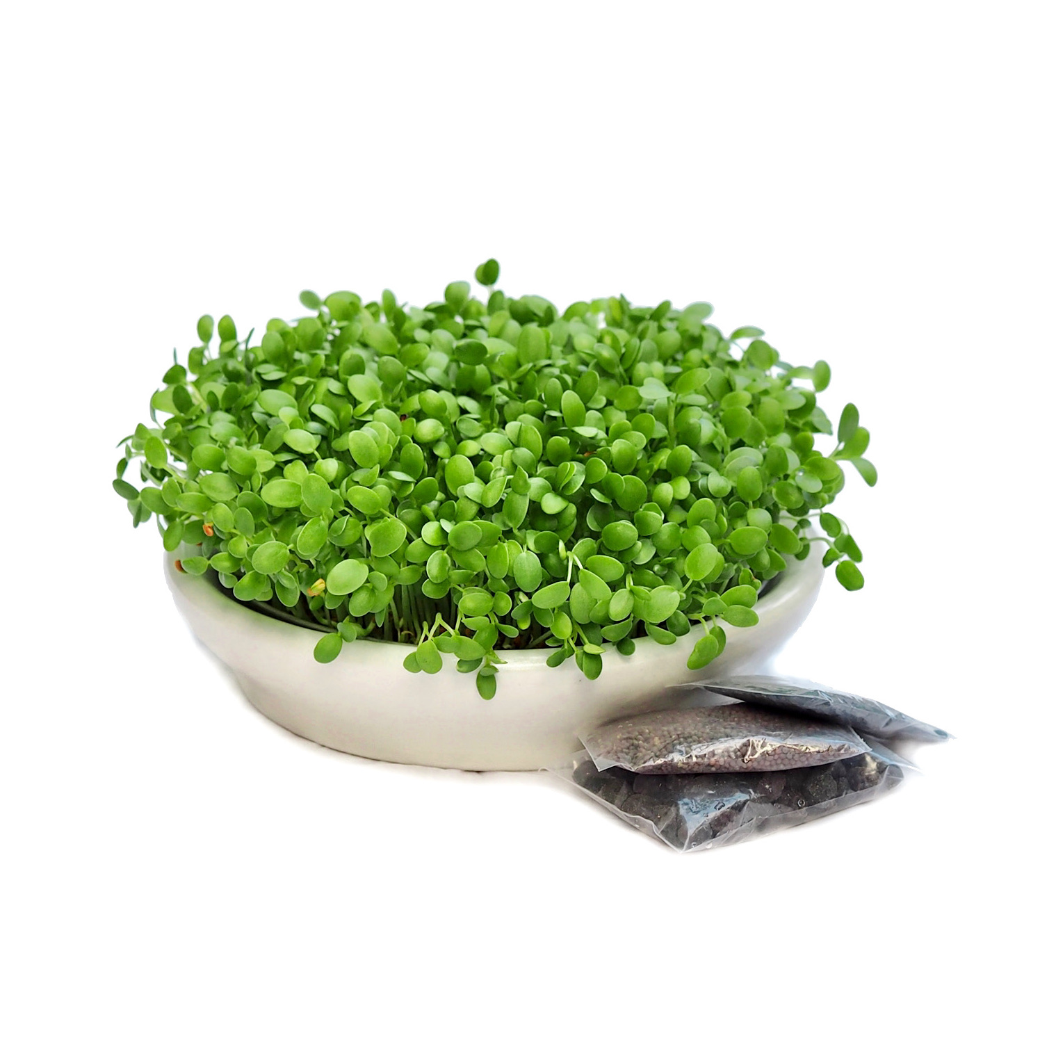 Keramik spireskål