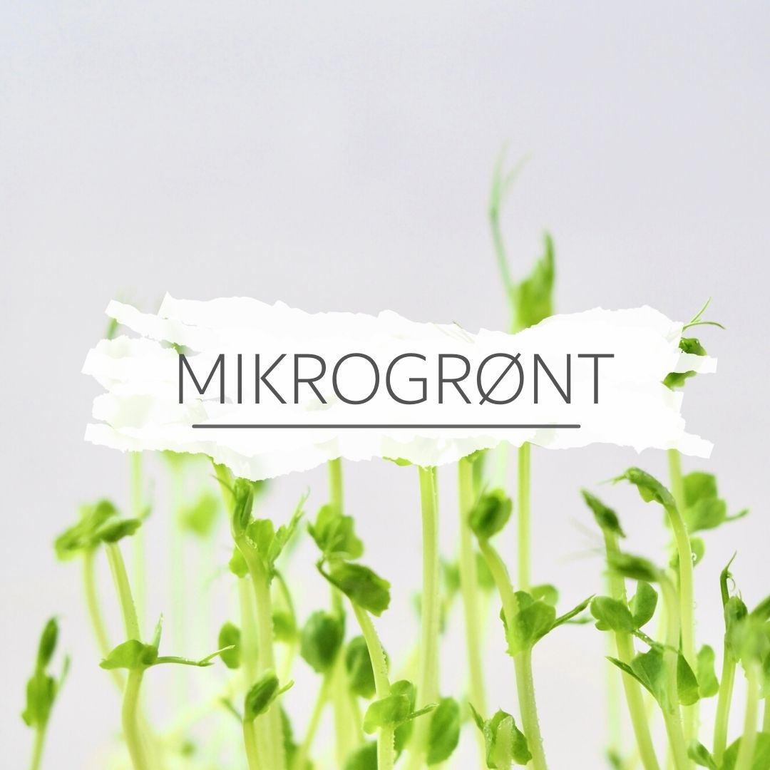 Mikrogroent