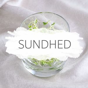 sundhed