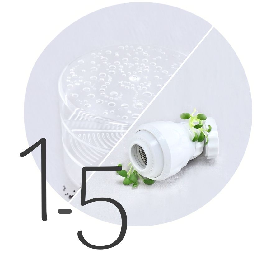 Trin 1-5 til mikrogrønt