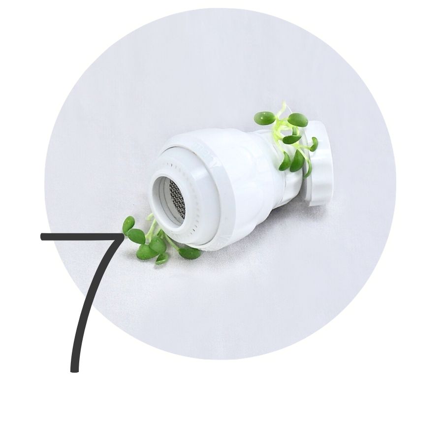 Trin 7 til mikrogrønt