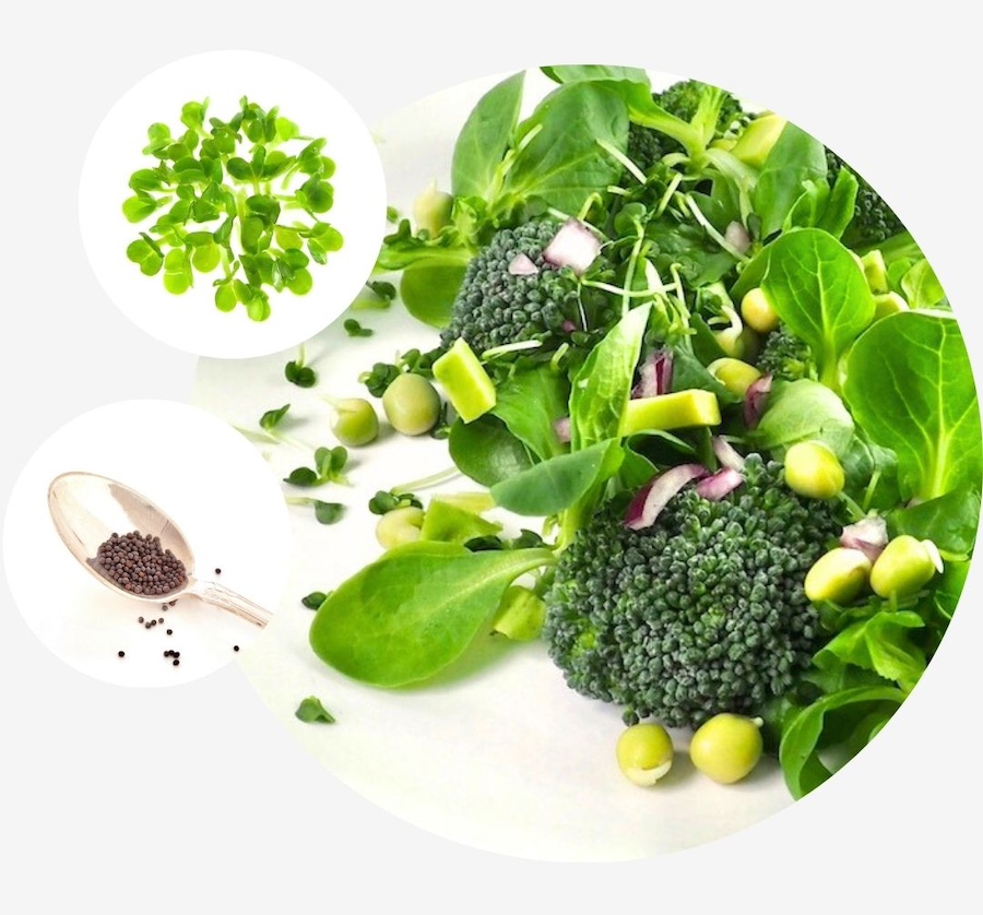 Broccolispirer og mikrogrønt