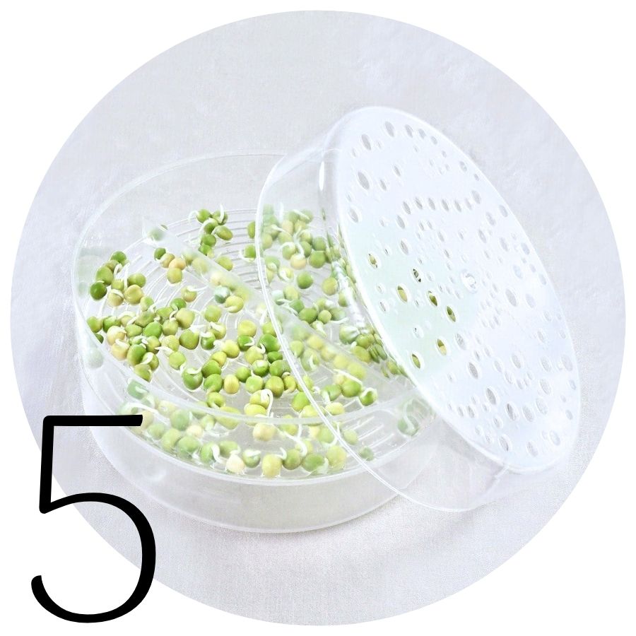 Ært i SpirePerle guide 5 Ært i SpirePerle guide 5