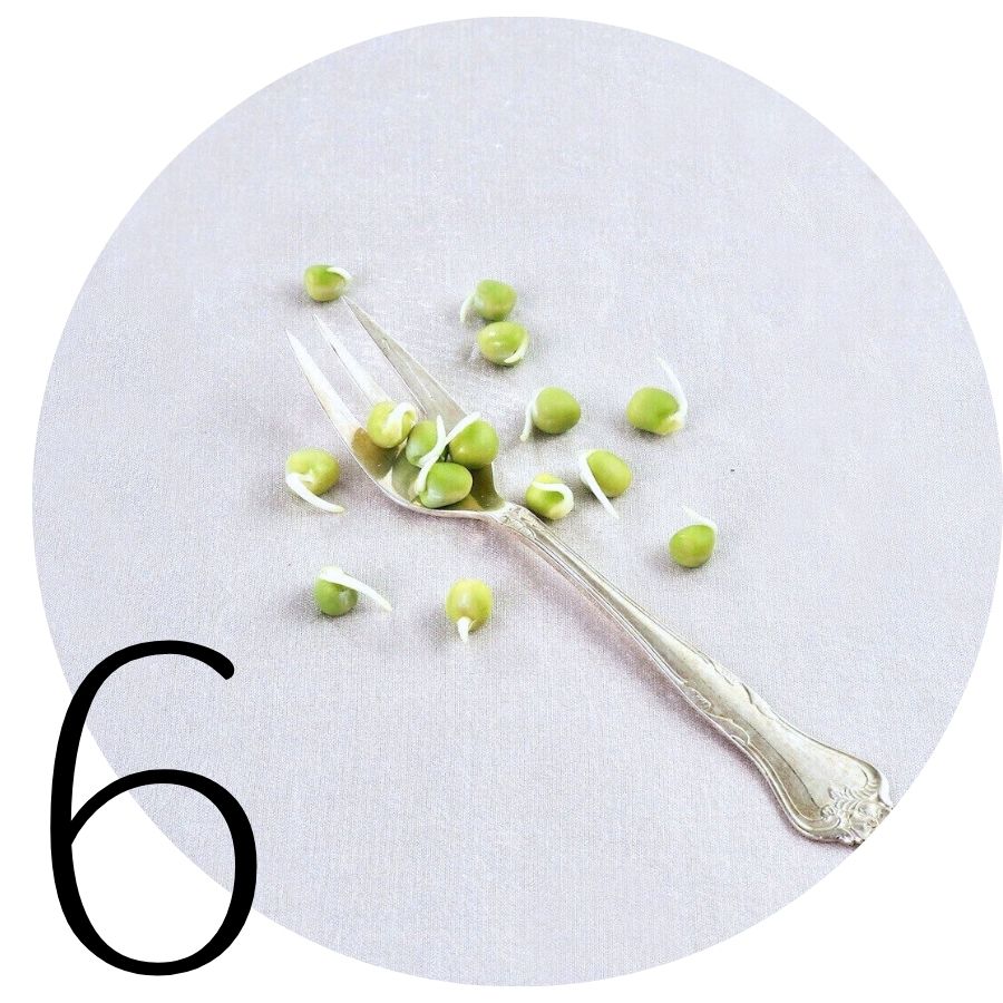 Ært i SpirePerle guide 6 Ært i SpirePerle guide 6