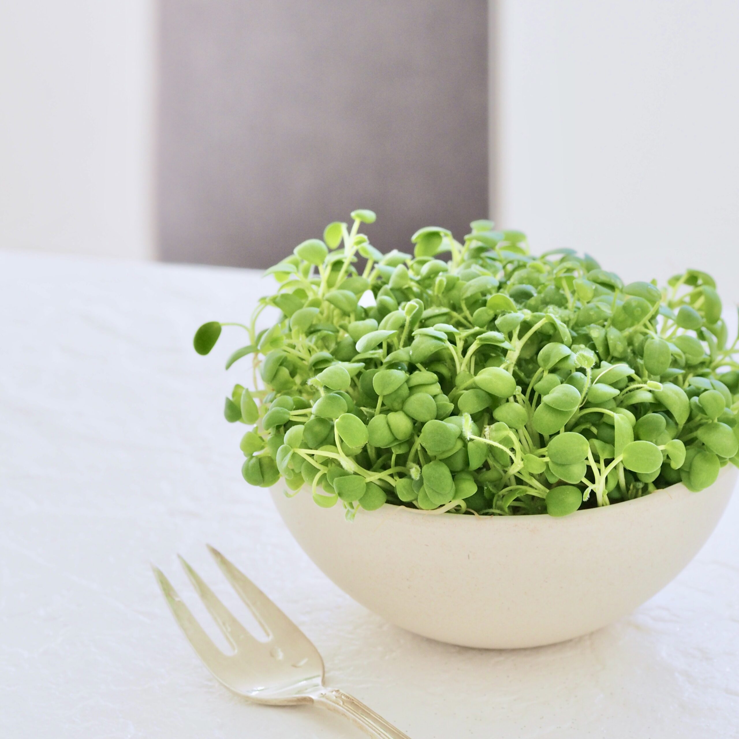 Dyrk selv friske spirer til din grønne mad