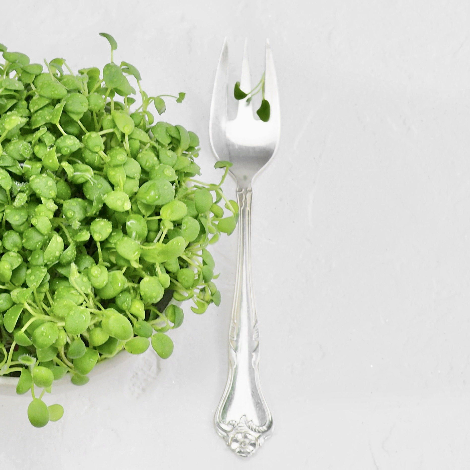 Gødning til mikrogrønt