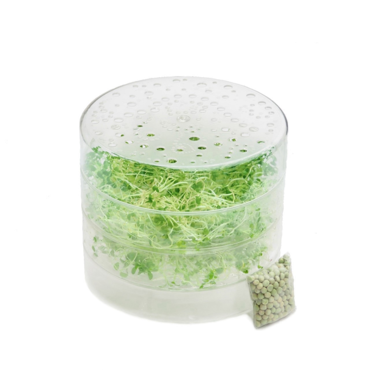 SpirePerle 2 frøbakker